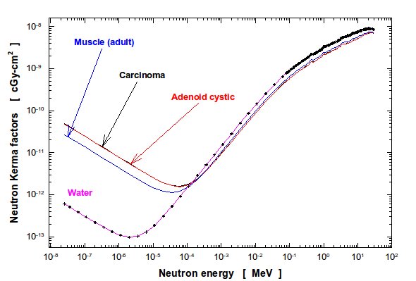 Figure 8: Neutron KERMA factors of water, carcinoma, adenoid cystic and muscle tissues. Figure 8: Neutron KERMA factors of water, carcinoma, adenoid cystic and muscle tissues.