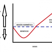 Controversia Hormesis o Modelo Lineal sin Umbral Revisión o inacción