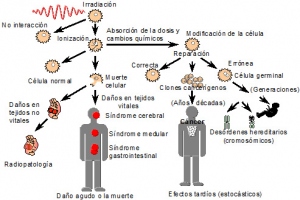 Figura 1.