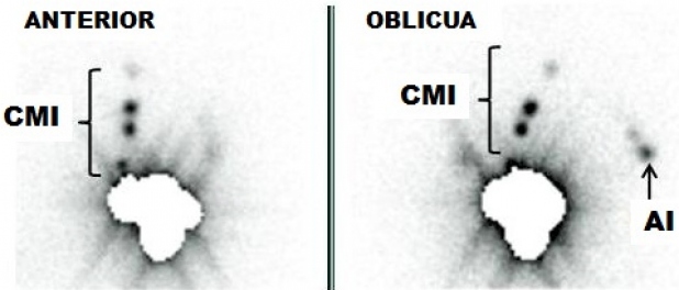 Figura 1.
