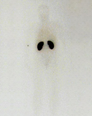 Figura 1.