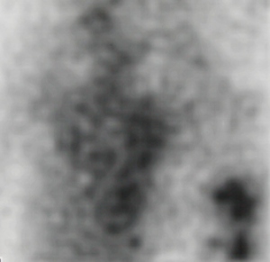 Figura 4.
