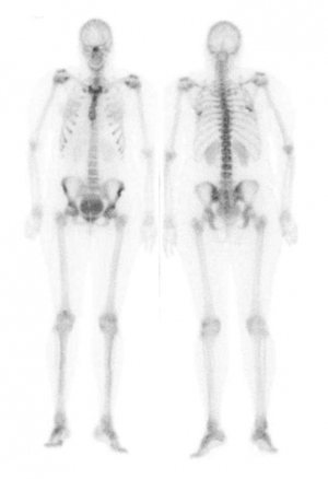 Figura 2.