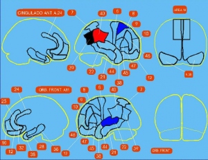 Figura 1.