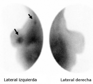 Figura 1.