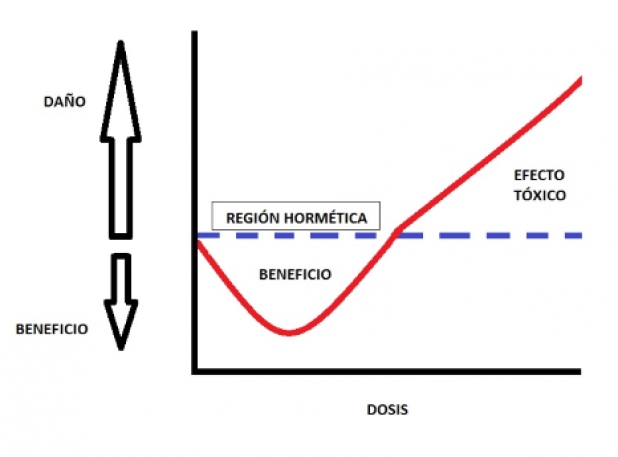 Figura 1