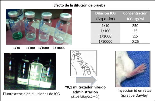 Figura 3