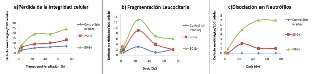 Figura 2