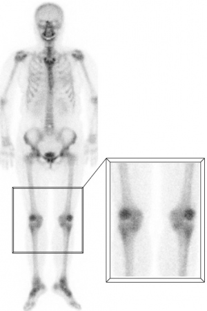 Figura 6