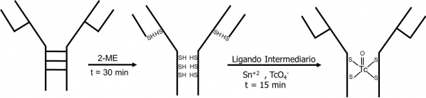 Figura 4