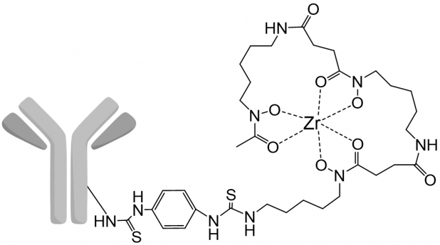 Figura 5