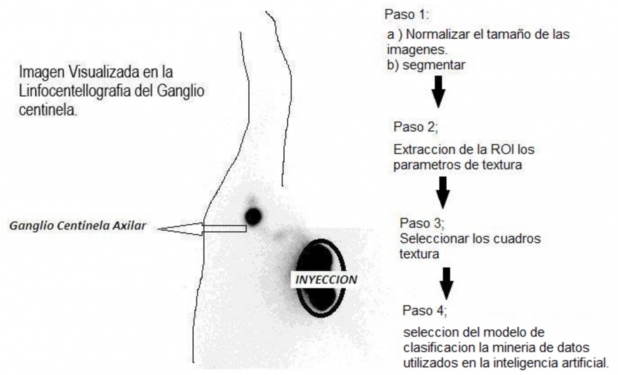 Figura 1