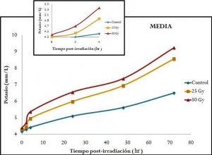 Figura 3