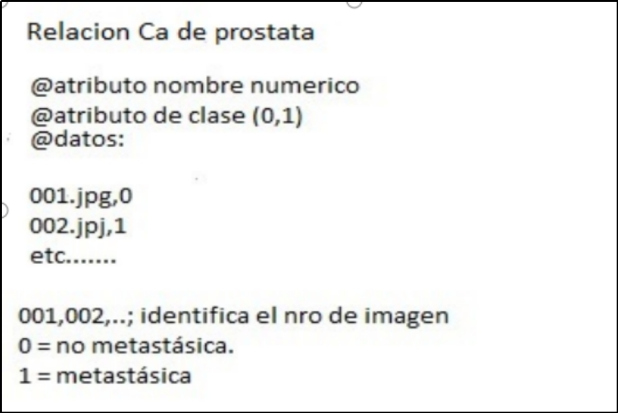 Figura 2